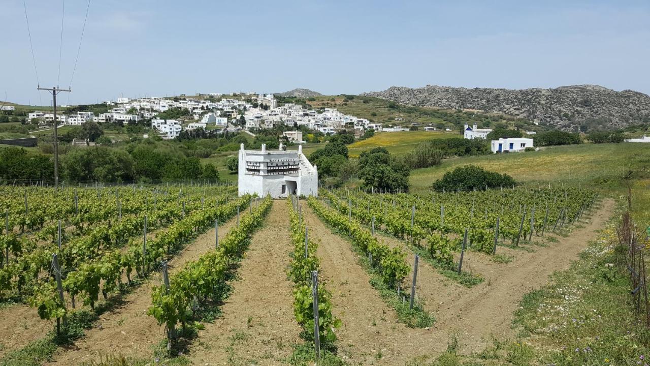 Villa Arokaria Stení Buitenkant foto