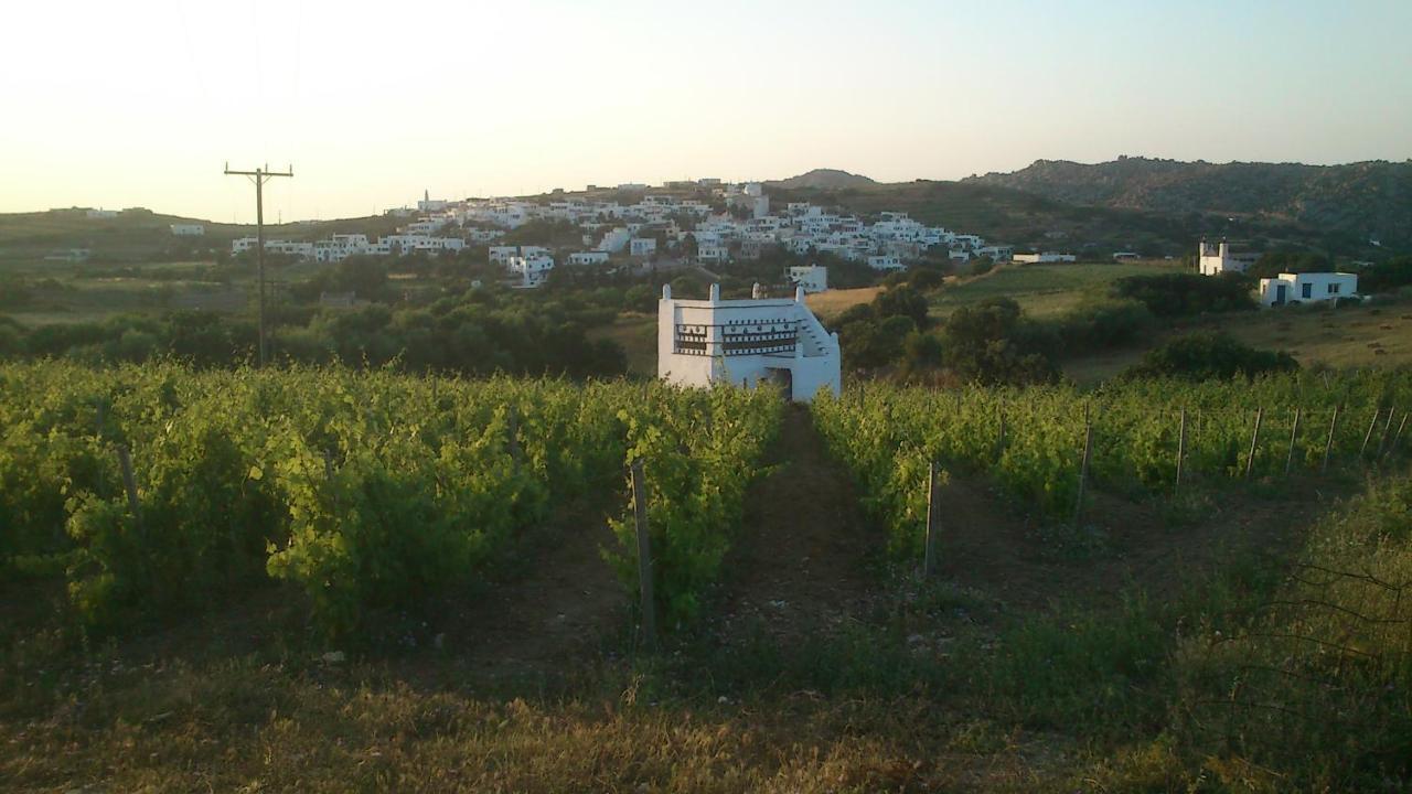 Villa Arokaria Stení Buitenkant foto